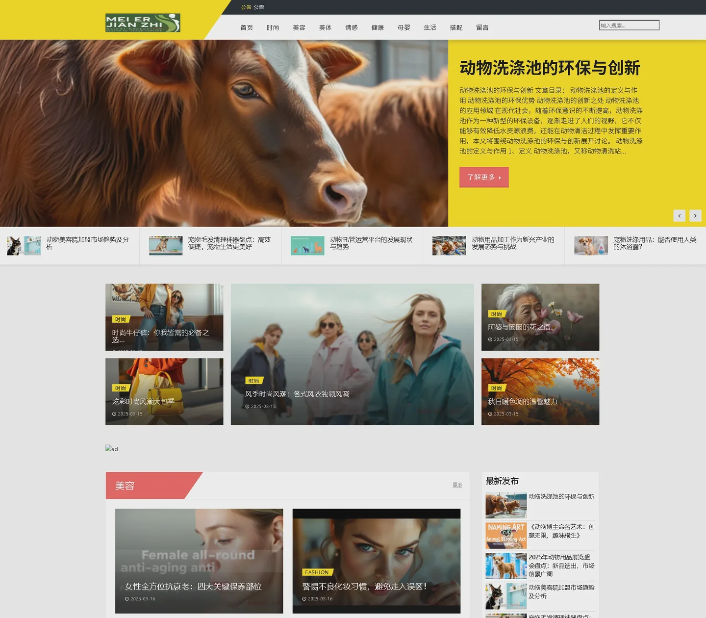 Self-media News and Information Template