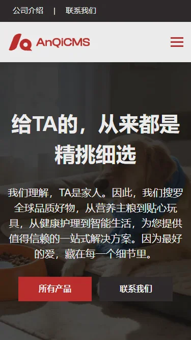 Security Chinese Template - Da Lao Wang - 001