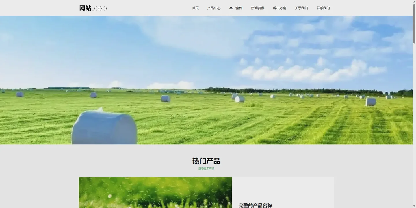 Dà lǎo wáng-ān qǐ zhōng wén mó bǎn-008