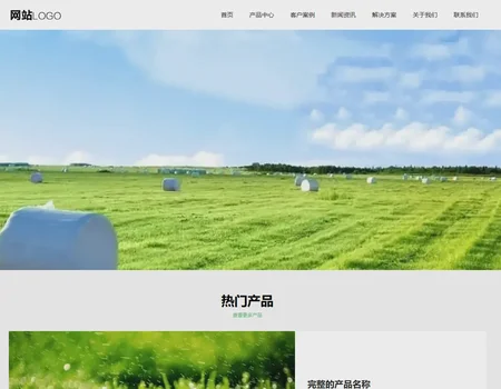 Da Lao Wang - AnQi Chinese Template - 008