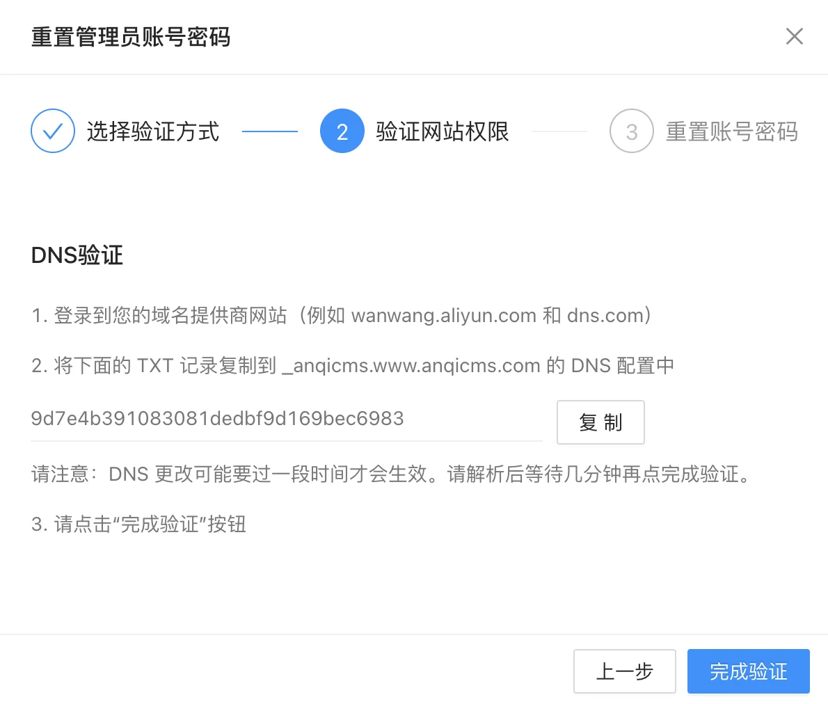 DNS verification interface