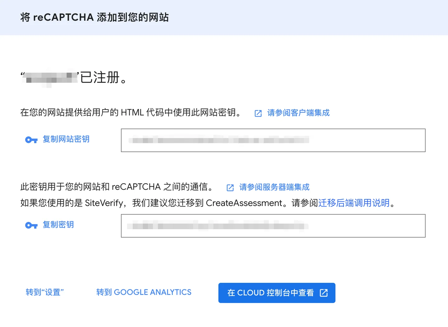 recaptcha-4.png